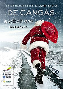 Cartel campaa de Navidad APESA 2023-2024