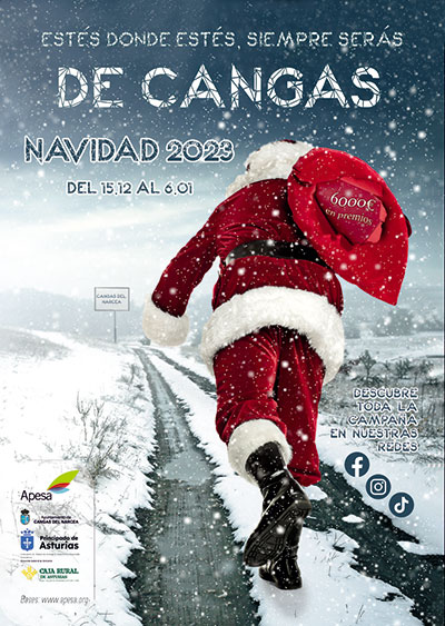 Campaa Navidad APESA 2022-2023